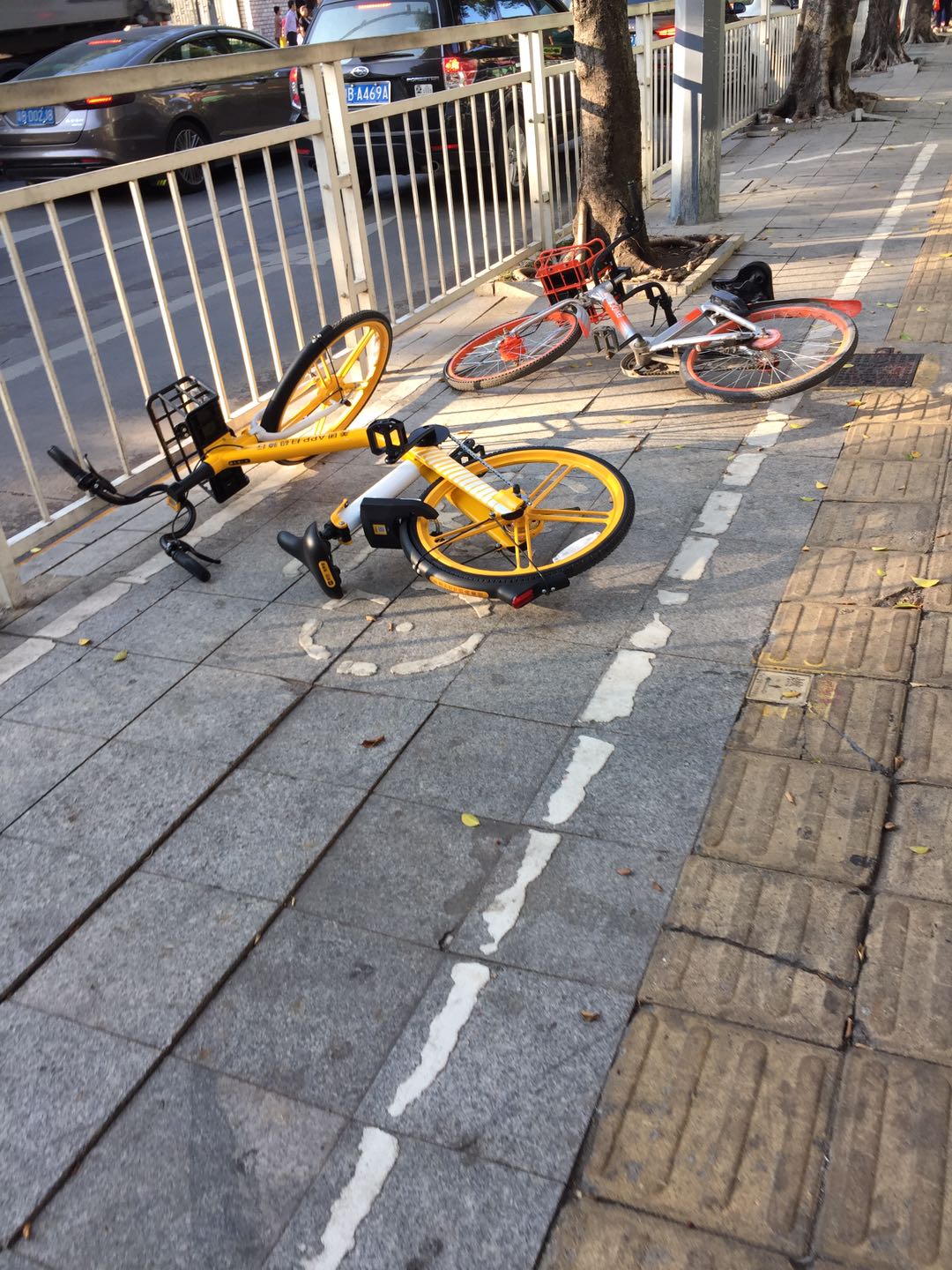 随手拍共享单车倒放在路旁