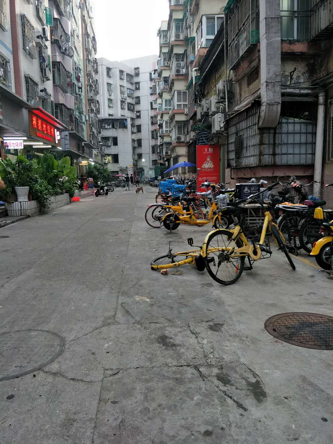 深圳市罗湖区向西村图片