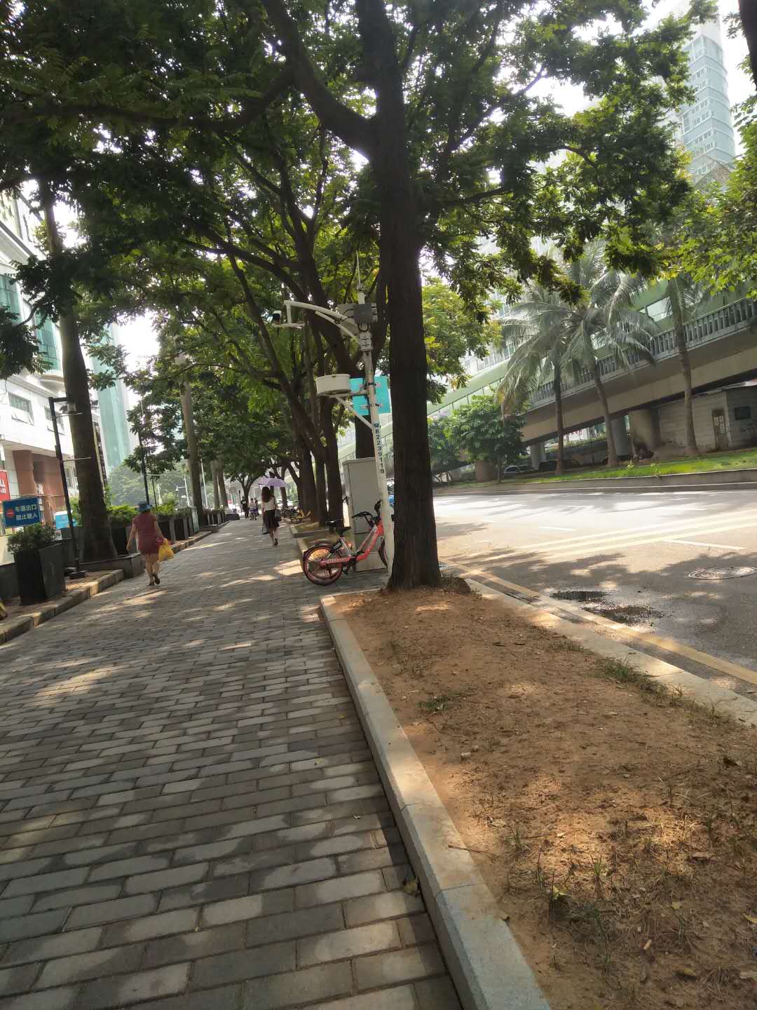 街道:南湖街道 具体地址:广东省深圳市罗湖区罗湖区春风路#_2183